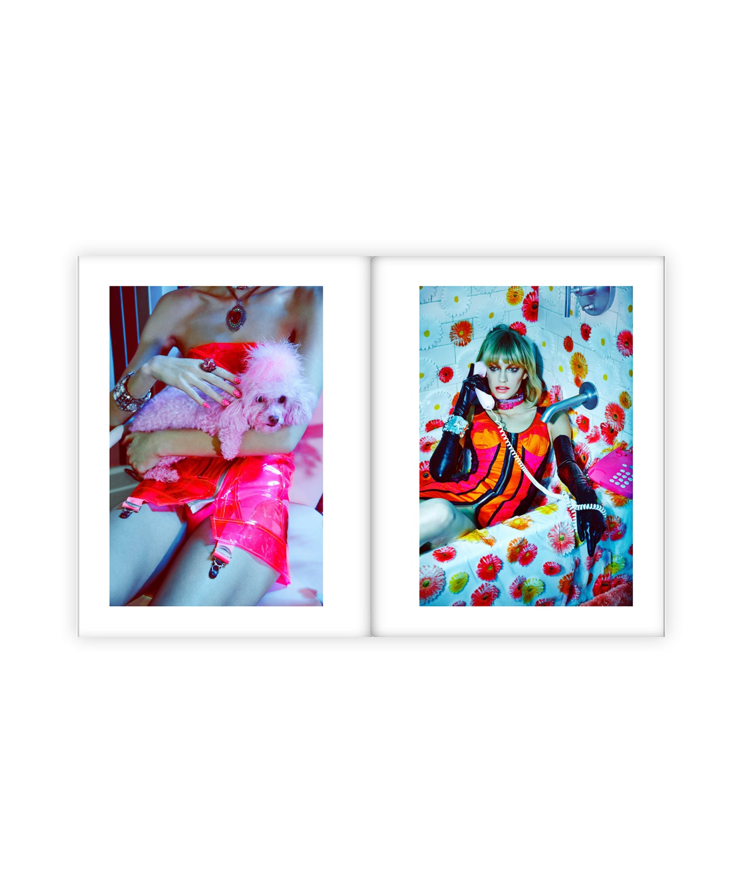 Two framed pictures of a person in colorful outfits with a dog on a white background