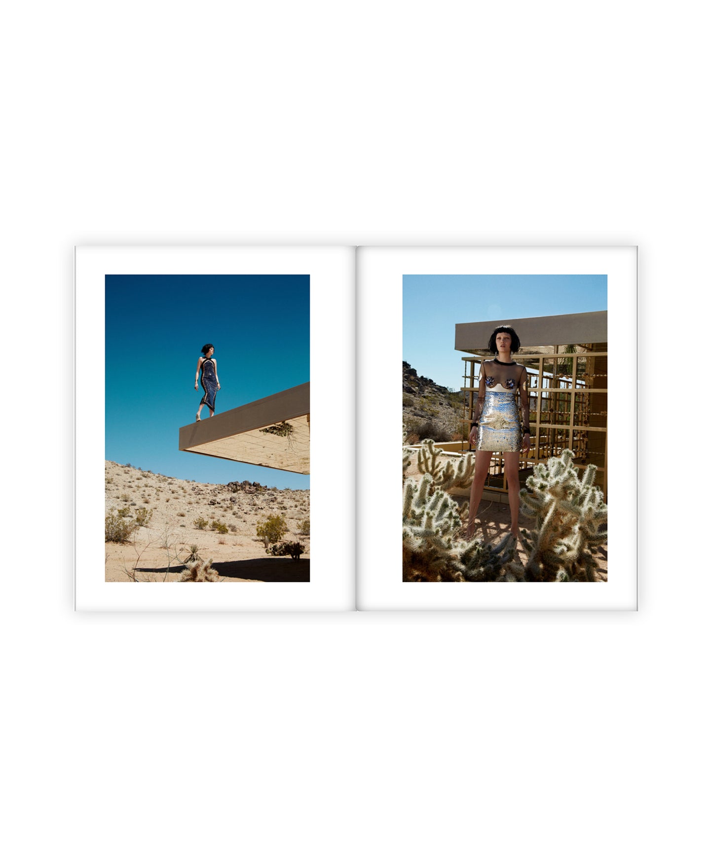 Two framed photographs of a person in a desert setting.