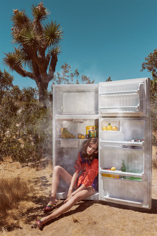 Person sitting inside an open refrigerator in a desert setting with cacti and blue sky.