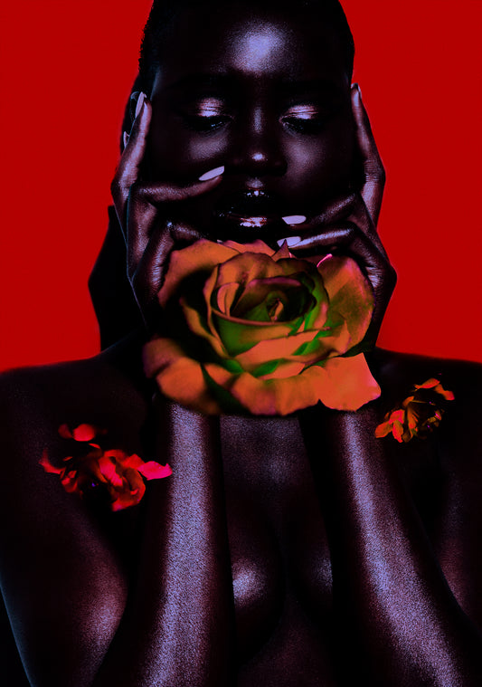 Portrait of a dark black skinned woman holding a vibrant red rose on a red background by Jamie Nelson, los angeles fine art photographer.