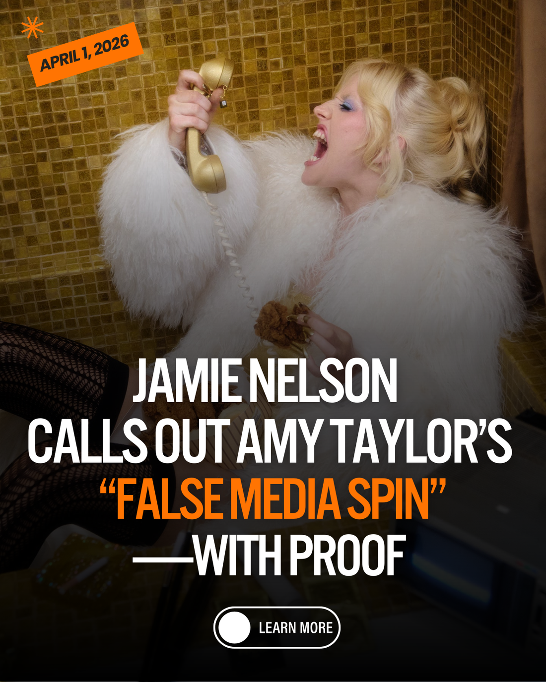Amy Taylor v. Jamie Nelson; Nelson calls out Amy Taylor's false media spin with proof and court documents