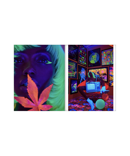 Zine- Issue 8