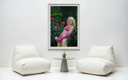 Artwork of Amyl and the Sniffers' Amy Taylor in a rose garden. She wears a pink bikini and pink gloves as she grits her teeth and holds an ice cream cone suggestively.