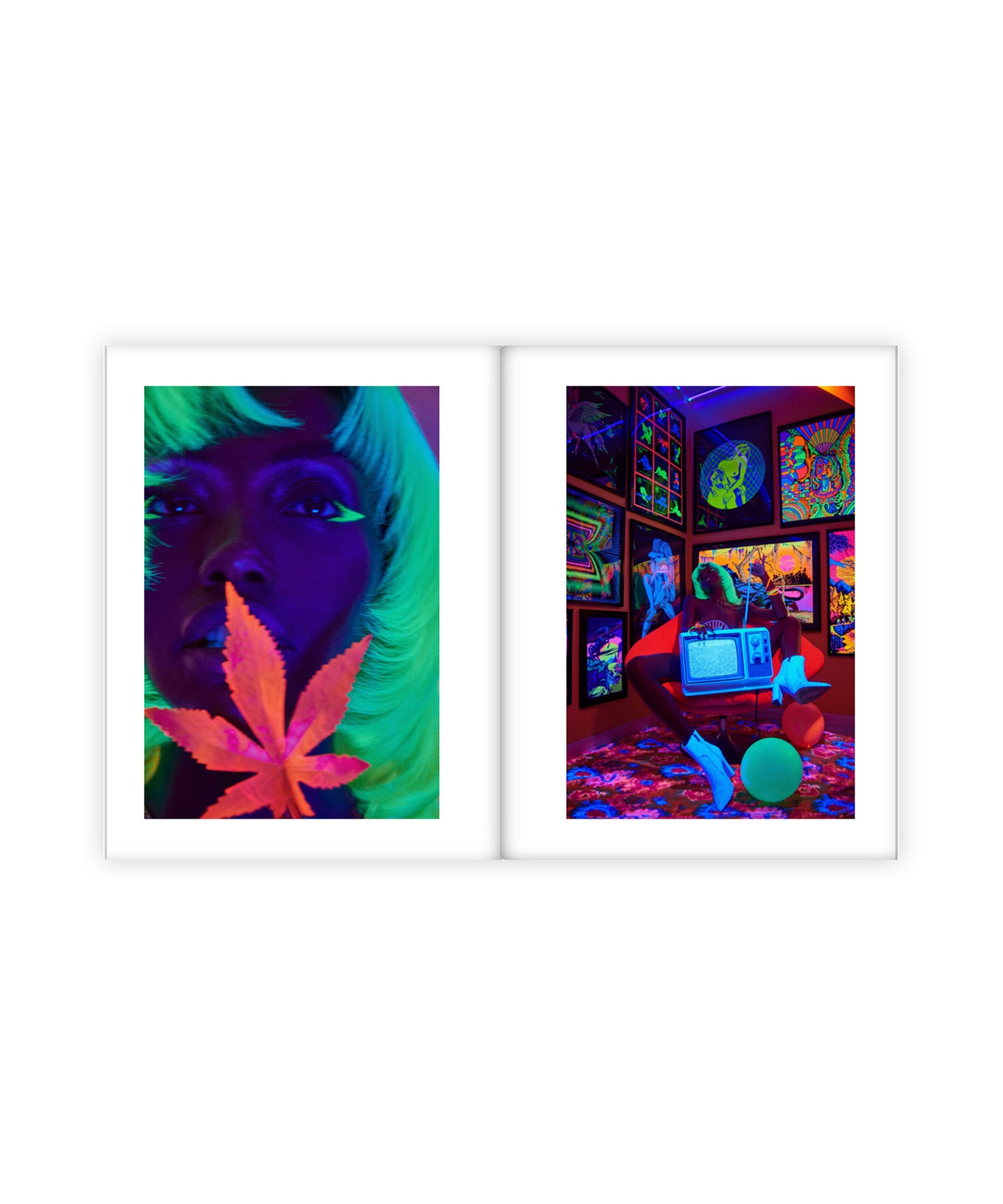 Two framed artworks with a colorful design featuring a face and a cannabis leaf.