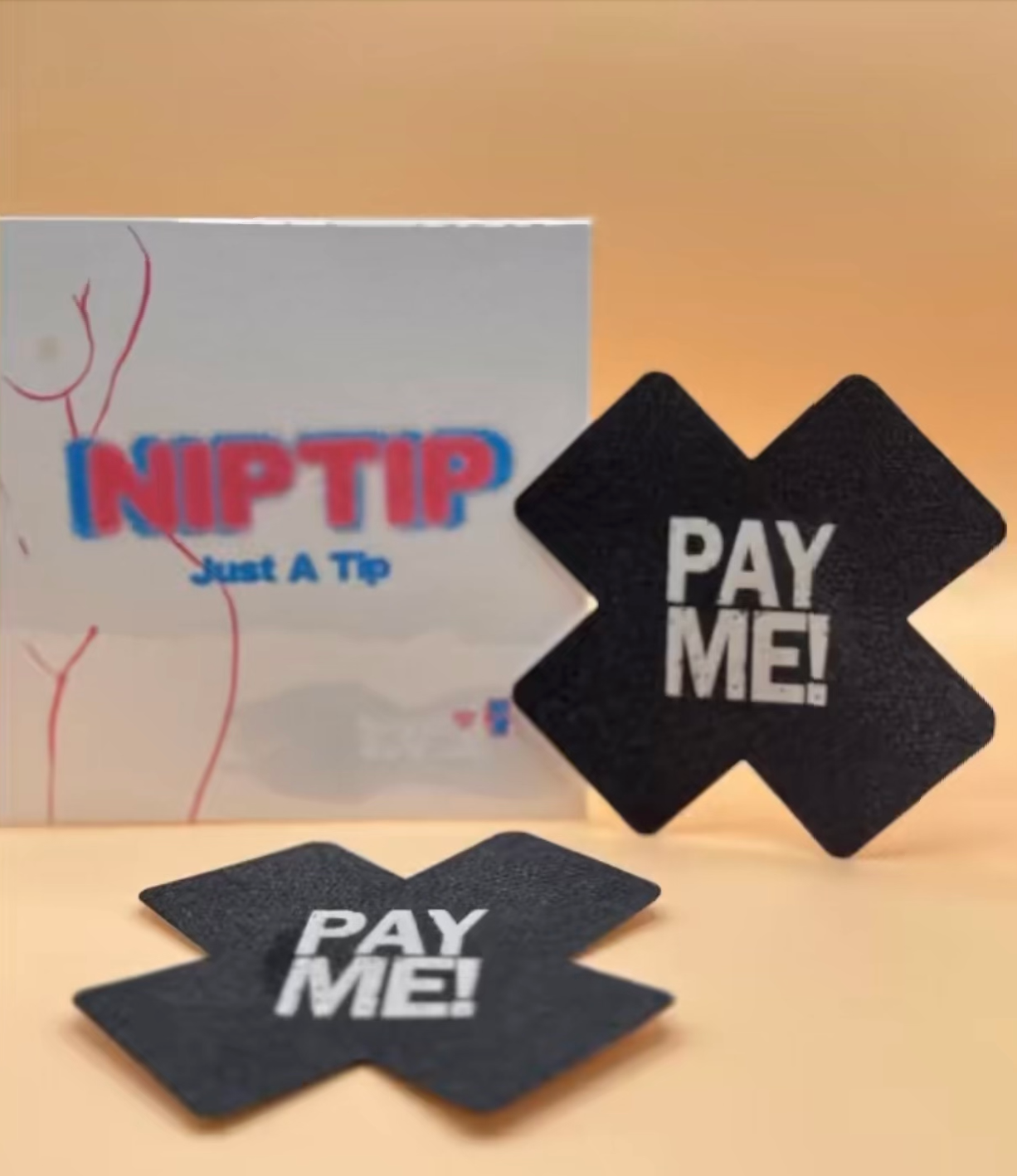 "Pay Me" pasties. A collaboration between Nip Tip and Jamie Nelson, Los Angeles based photographer who is fighting for the rights of artists and creator to display and profit from their own work.